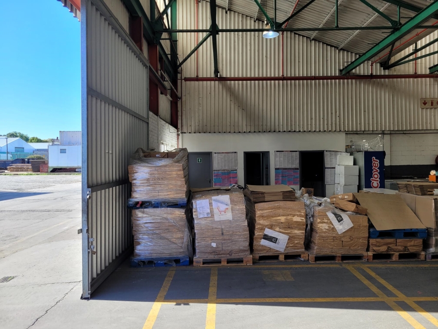 To Let Commercial Property for Rent in Elsies River Industrial Western Cape